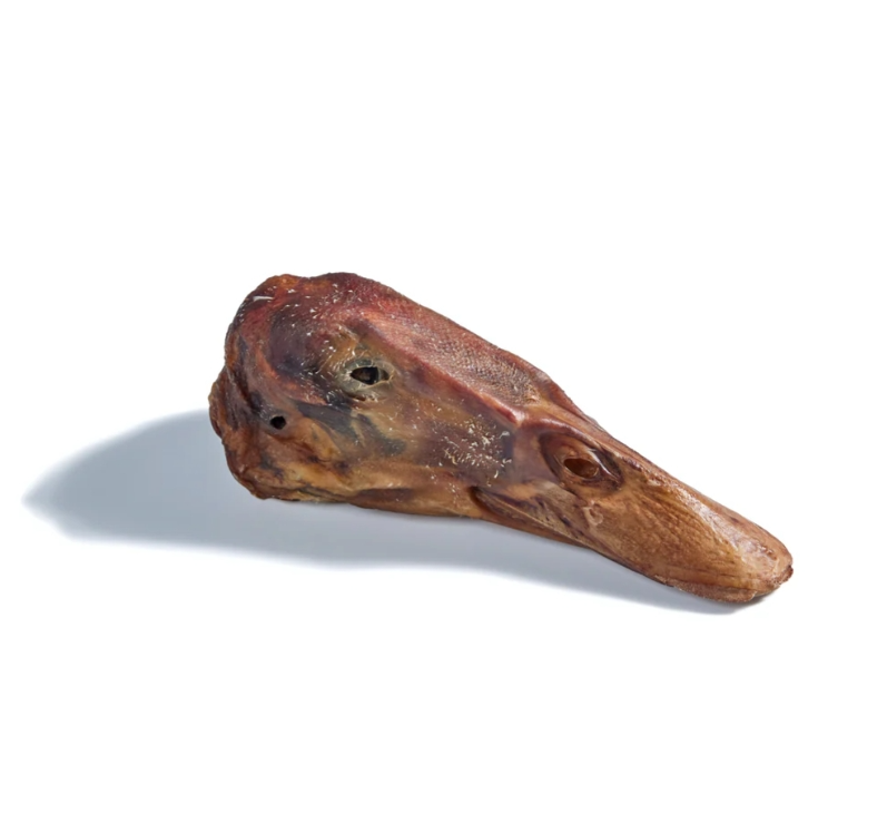 Dehydrated Duck Head