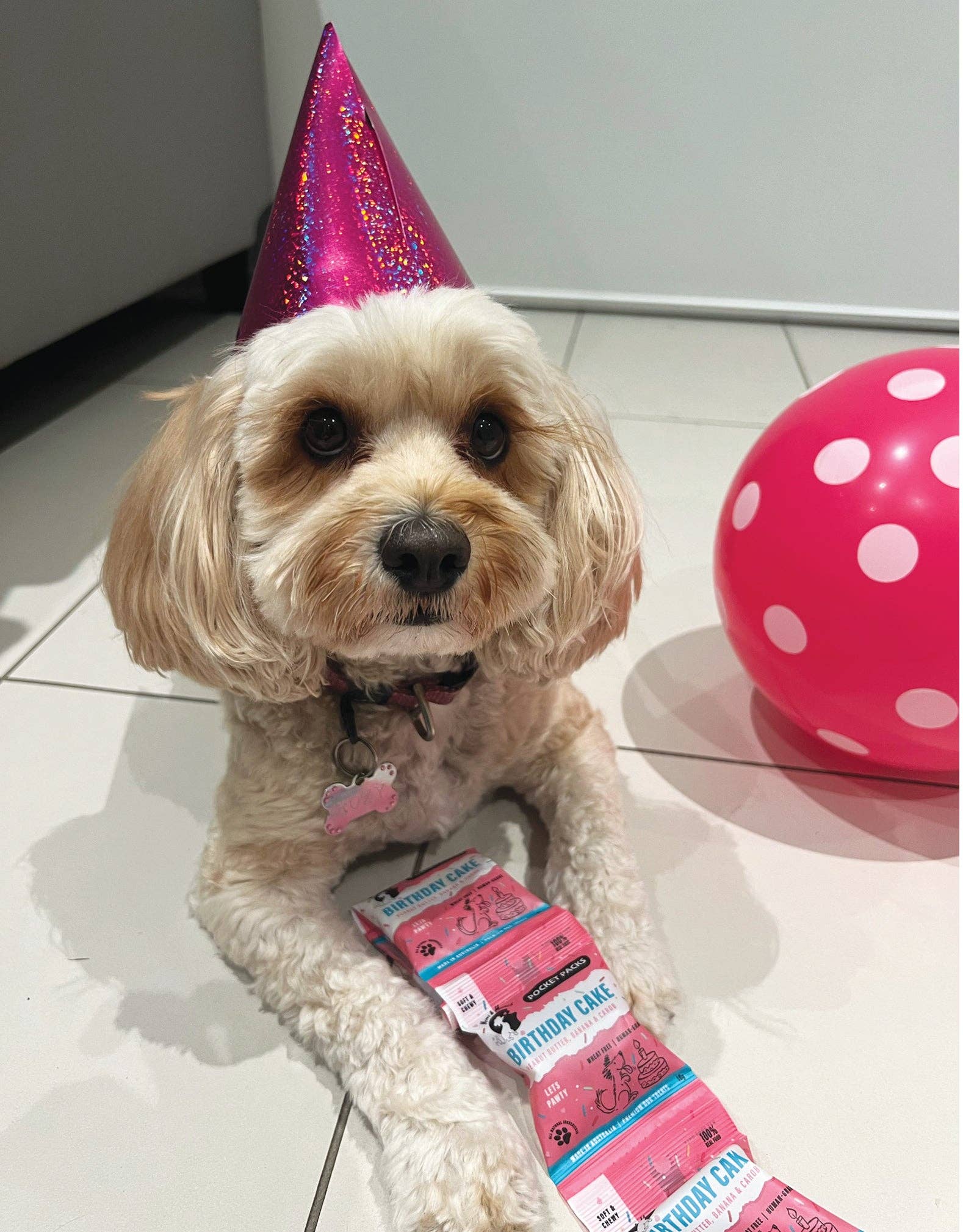 Mimi & Munch Birthday Cake Soft & Chewy Dog Treats - Pocket Packs